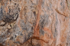 fd (34)